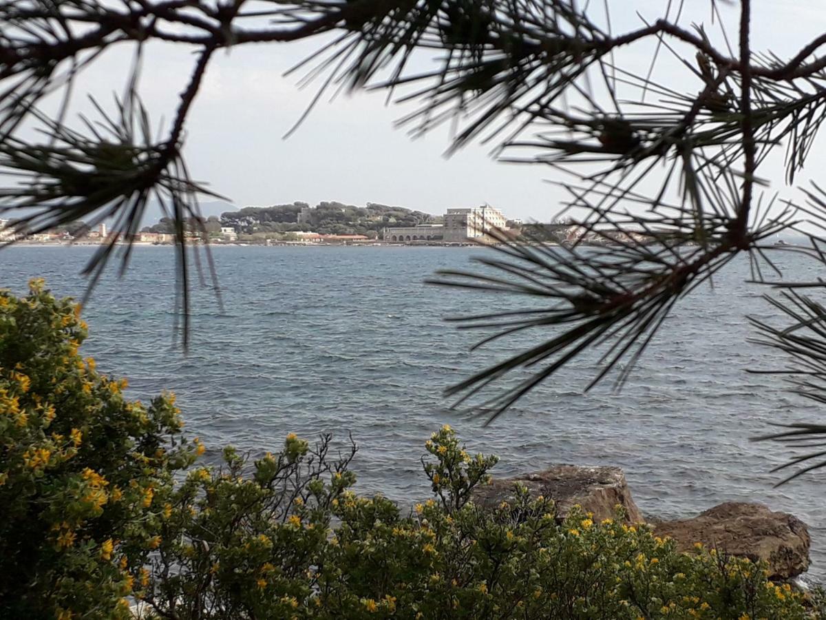 Bandol Nature Et Loisirs: Parking/ Piscine Luaran gambar